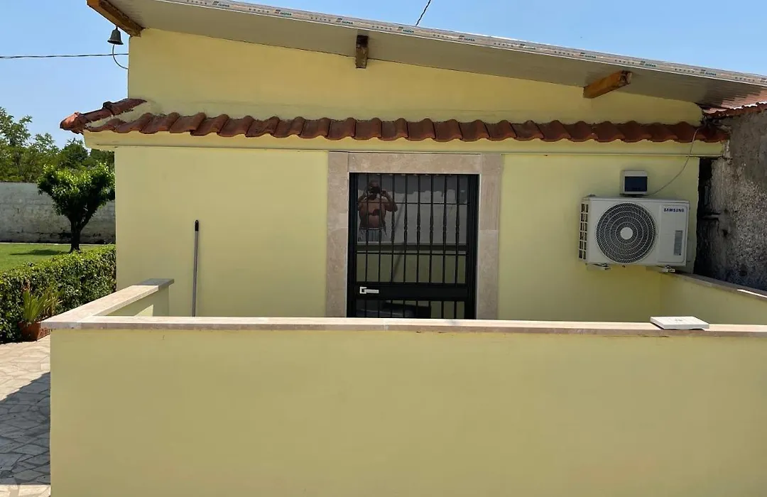 B&B Brunos&Brunos-1